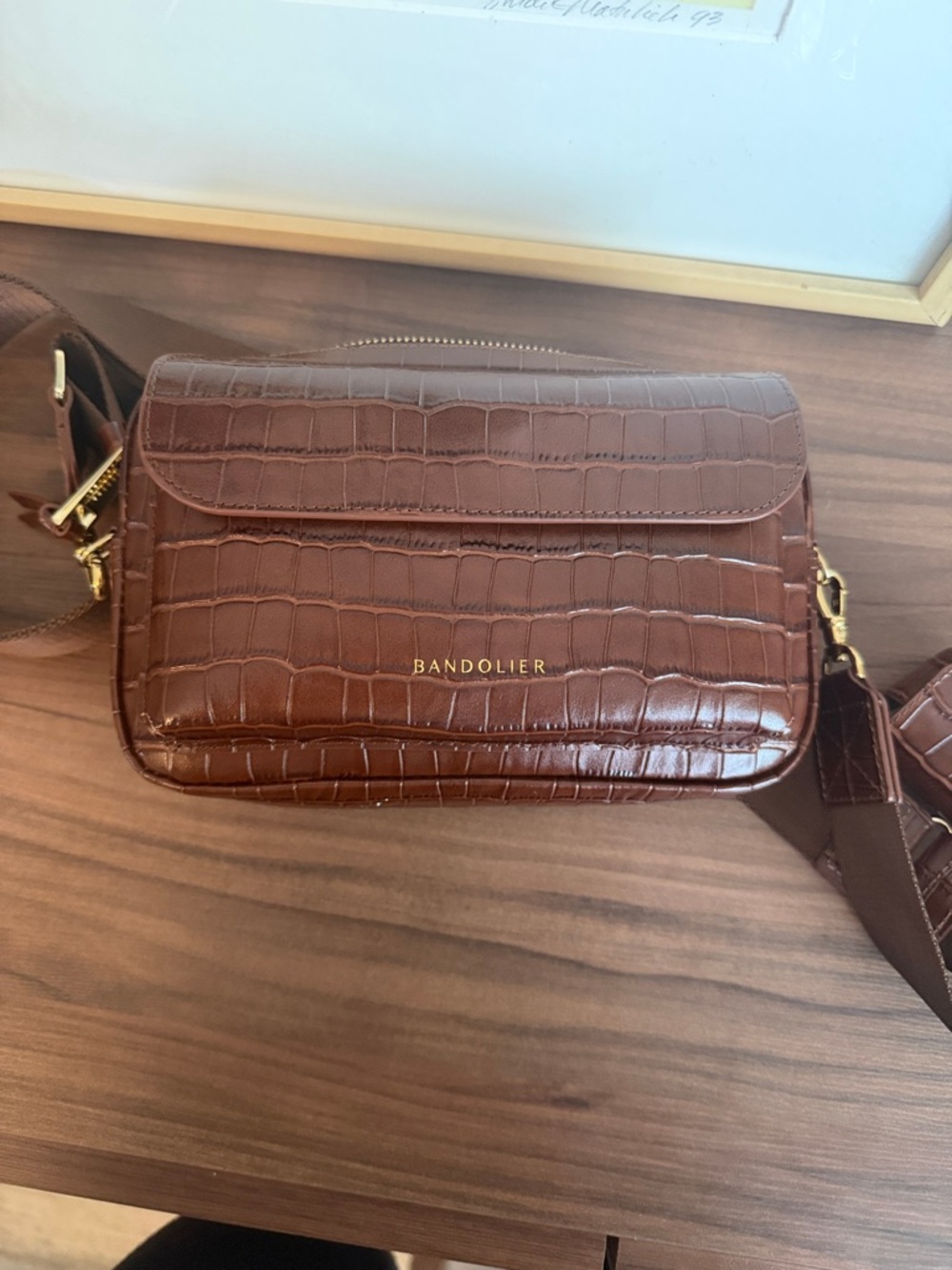 Bandolier Croc-Embossed Crossbody in Brown with Gold Hardware
